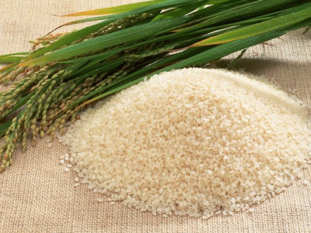 Rice Basmati Quality
