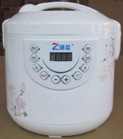 multi-function rice cooker