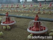 poultry equipment