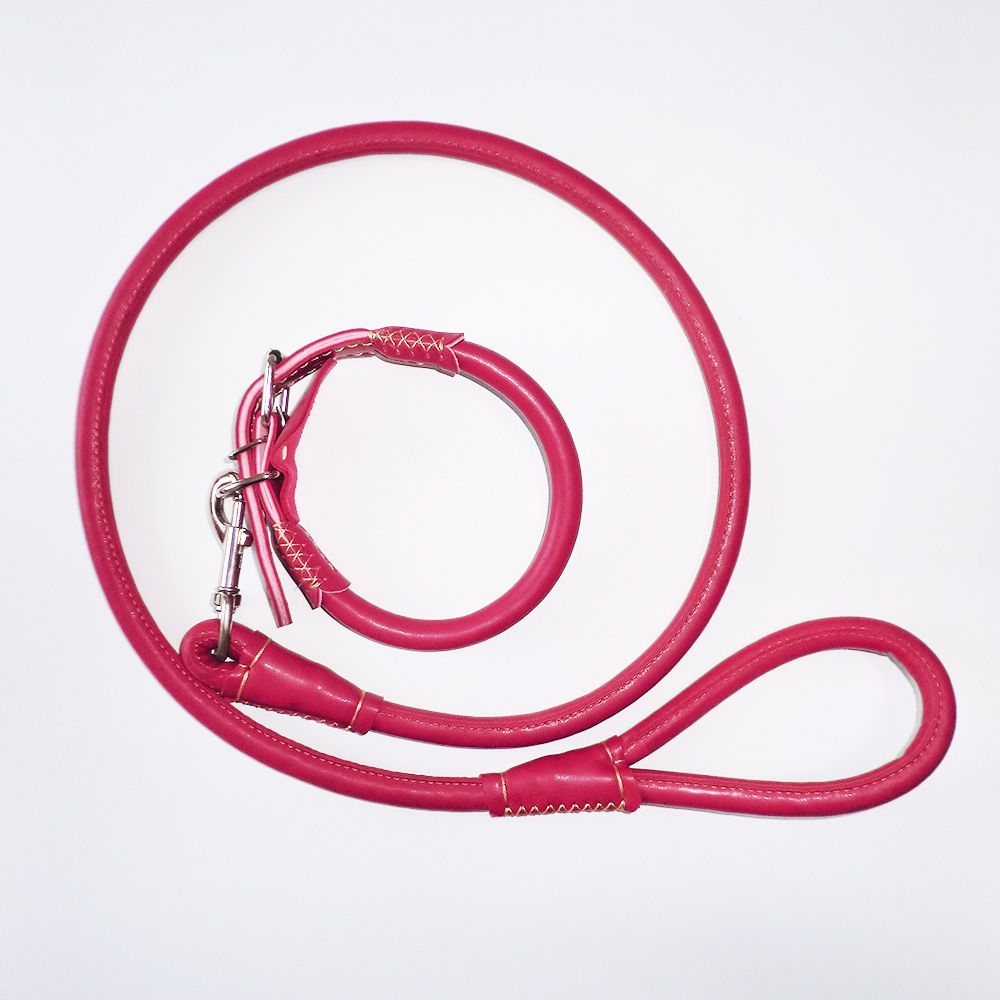 World best selling hands free dog leash