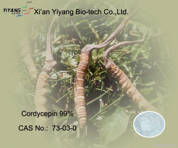 Cordycepin  CAS number:  73-03-0
