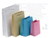 Paper carry bag