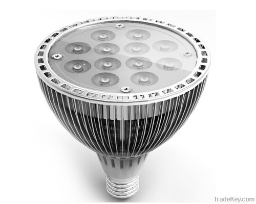 PAR Spot Lamp (E27/E26)