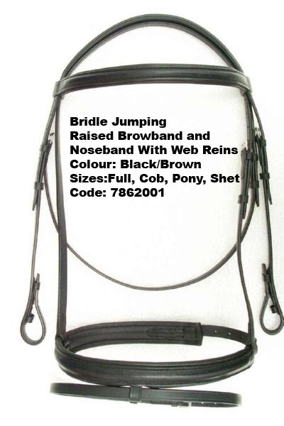 Leather Bridle