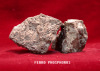 Ferro Phosphorus Powder