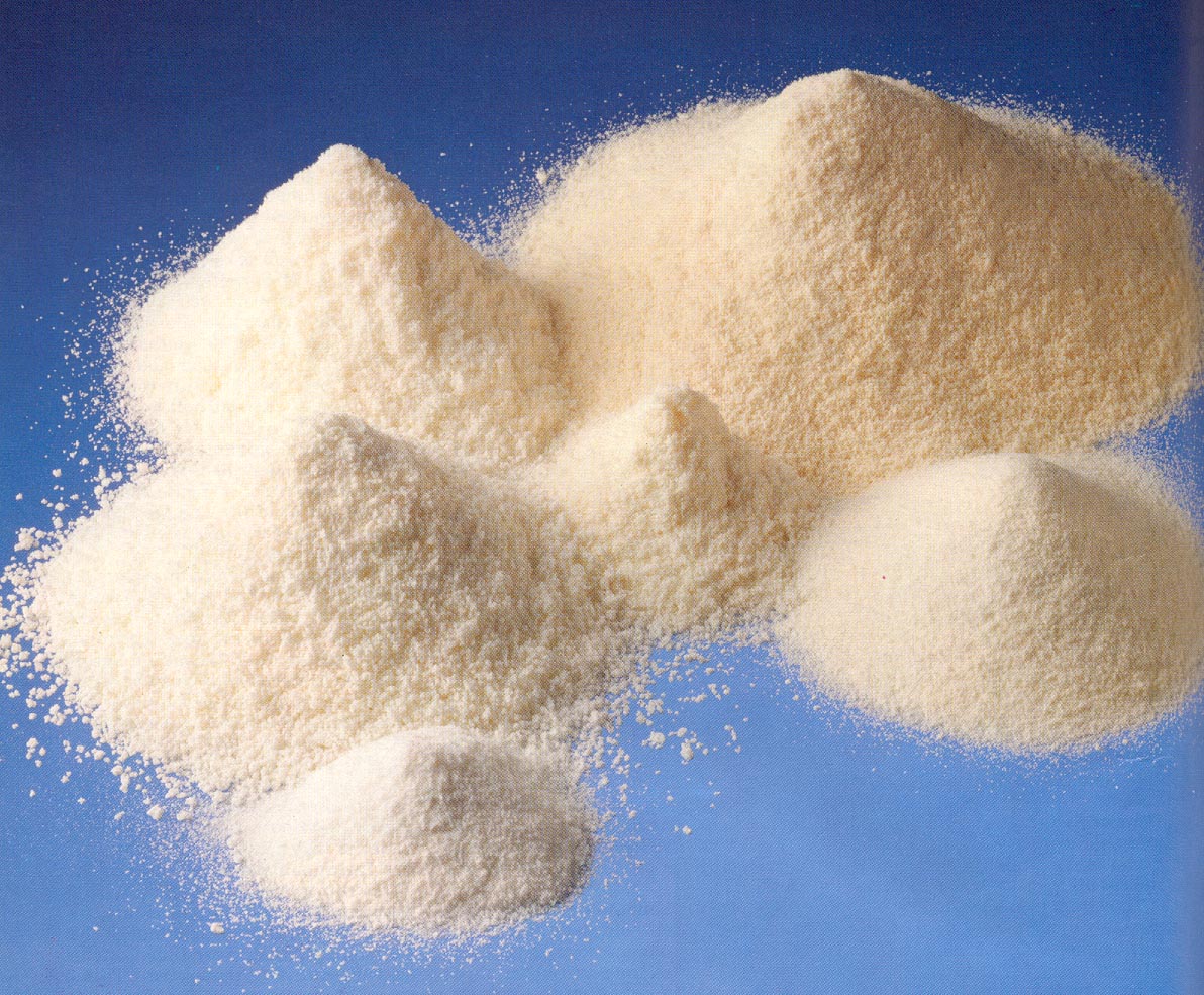 powdered dairy products