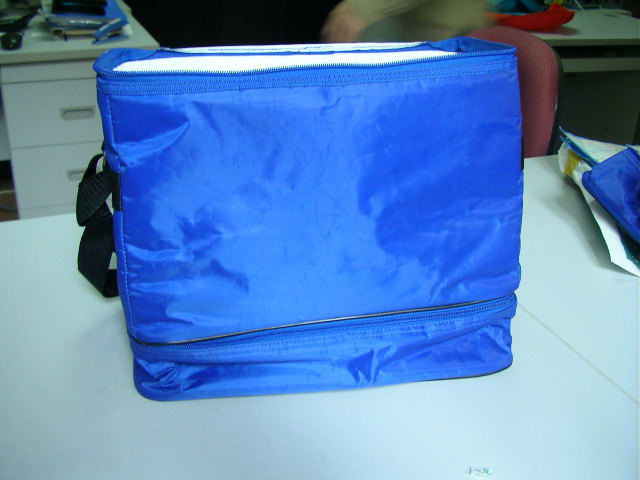 Cooler bag