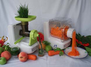 Multifunctional Food Processor