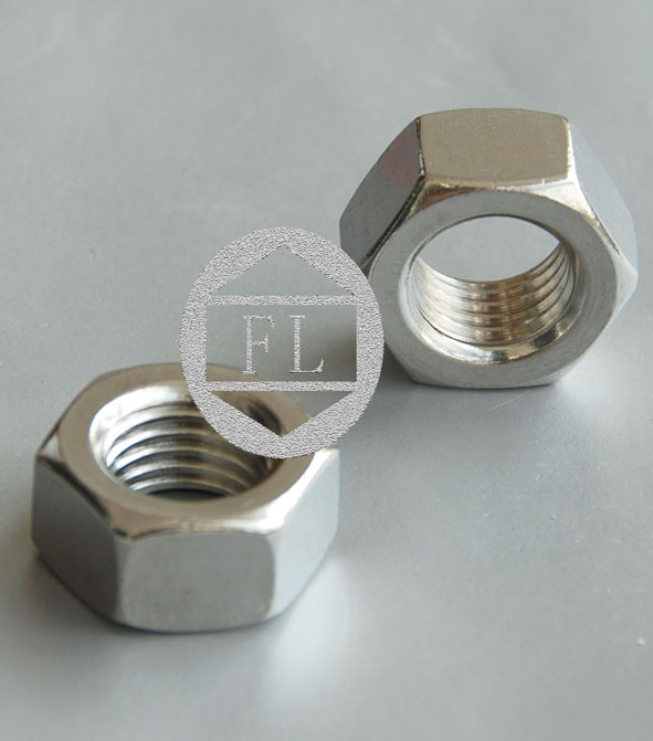 stainless steel nuts