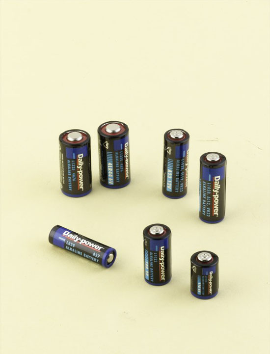 Alkaline Assembled Battery Packs (12V, 9V, 6V)