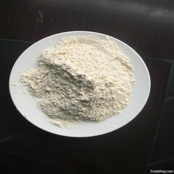 Dehydrated Garlic Powder With High-Qulity Offer For Sale