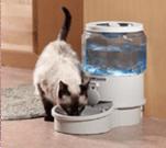 Filtered Pet Waterer