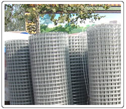 Gal. Welded Iron Wire Mesh