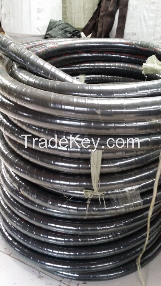 Steam hose