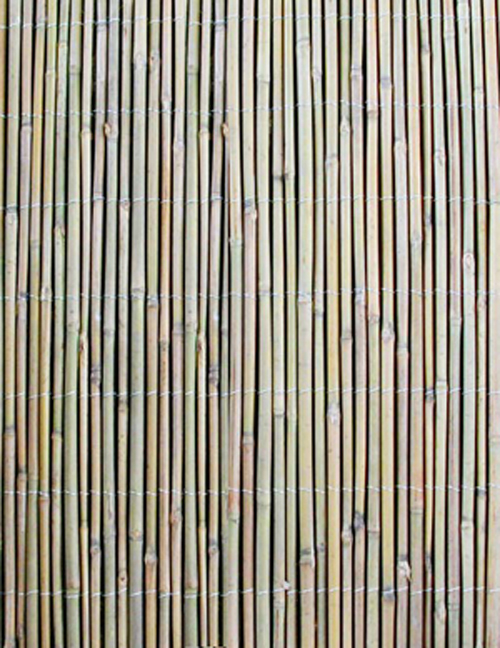 bamboo fence