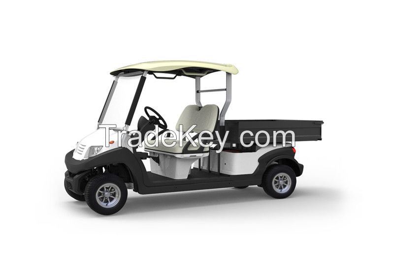 2014 New Cargo Golf Cart - 2 Seater