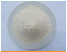 Isolated Soy Protein, Soy Protein