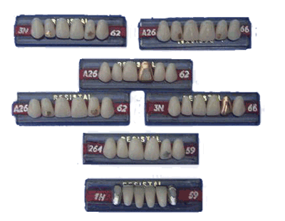 Two-Story Color Acrylic Resin Teeth