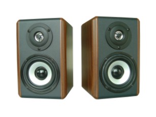 speaker cabinet(box)