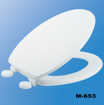 Molded Toilet Seat