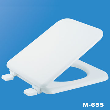 Molded Toilet Seat