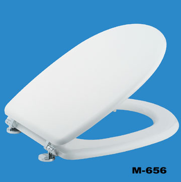 Molded Toilet Seat