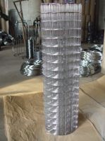 Hot-dipped galvanized welded wire mesh