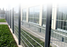 Wire Mesh Fence