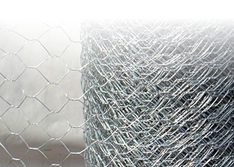 hexagonal wire netting