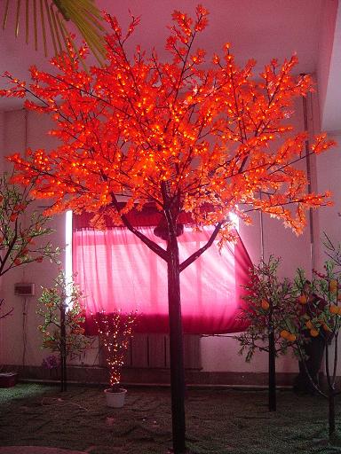Maple tree light