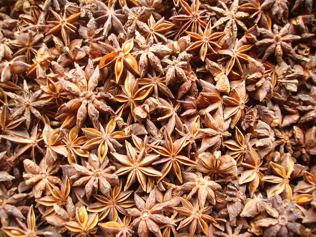 Star Aniseed