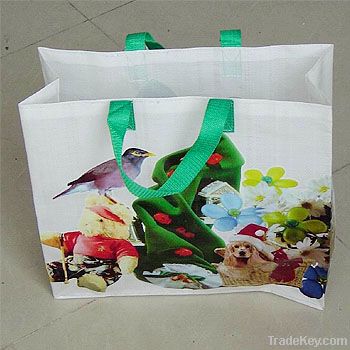 Pp Woven Shopping Bags