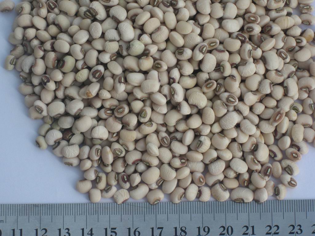 Chinese black eye beans