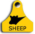 Sheep tags
