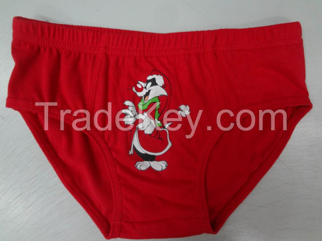 XMAS briefs for boys