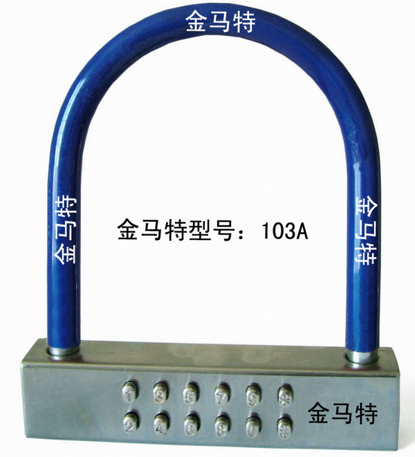 anti-violence password lock 103A