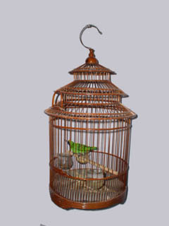 Chinese Bird Cage