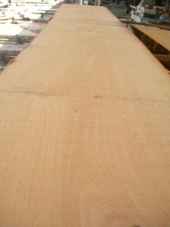 Timber Wood