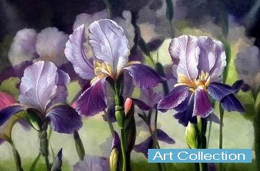 Flower Oil painting