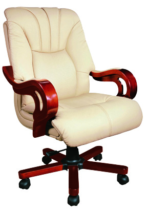 Director Chairs Series