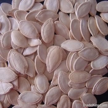 Shine Skin Pumpkin seeds