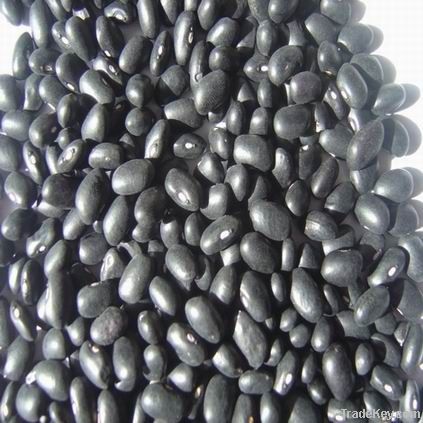 2011 Crop black kidney bean
