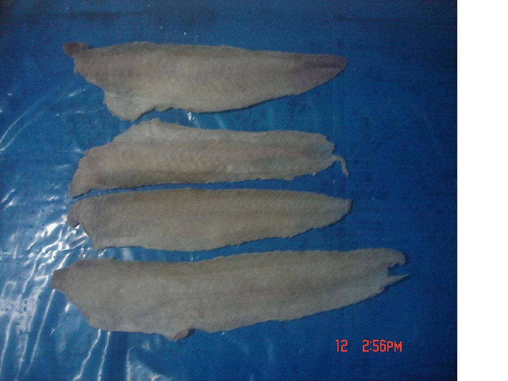 Asian blue codfish fillet