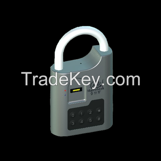 zinc alloy digital fingerprint door lock