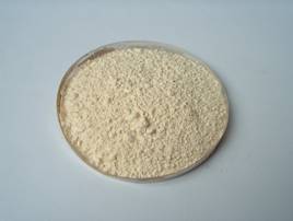 Eurycoma (Longjack)Powder Extract