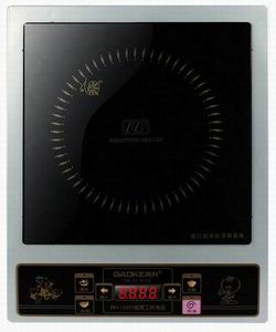 Induction Cooker 1