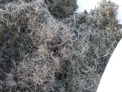 Steel Tyre Wire Scrap ( less than 10% rubber contamination)