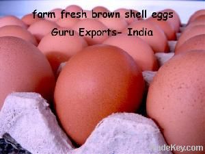 EXPORT OF WHITE CHICKEN EGG, SUPPLY FRESH INDIAN EGGS, EGG WHOLESALE