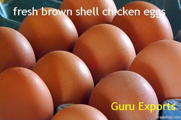 ONION, POTATO EGG EXPORTERS, DRY CHILLI, SPICES POWDER SUPPLIERS INDIA