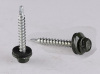 ex Head Self Drilling Screws (Painted Head) with Bonded Washer